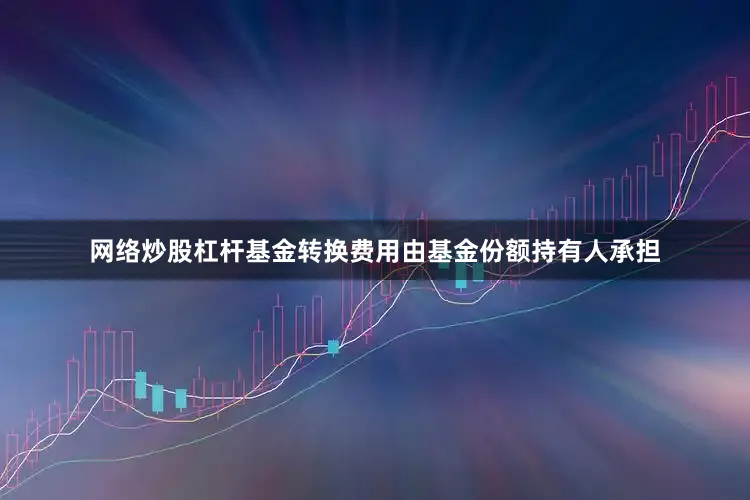 网络炒股杠杆基金转换费用由基金份额持有人承担