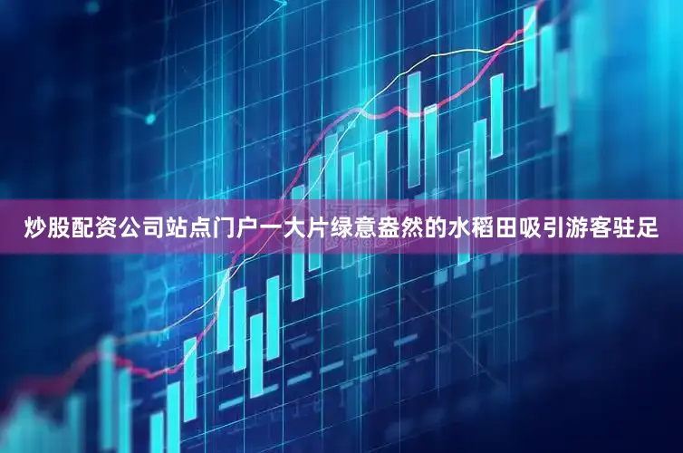 炒股配资公司站点门户一大片绿意盎然的水稻田吸引游客驻足