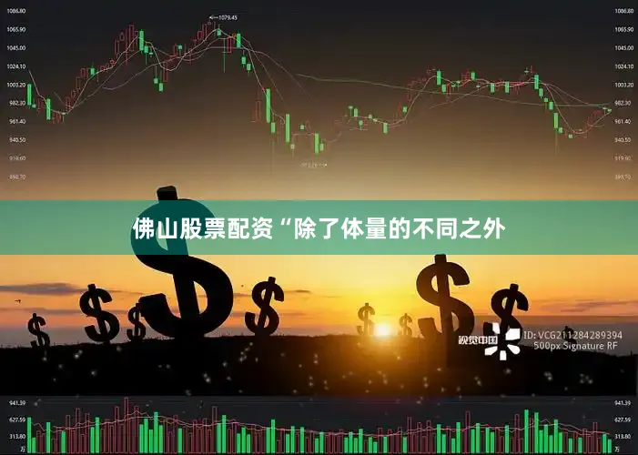 佛山股票配资“除了体量的不同之外