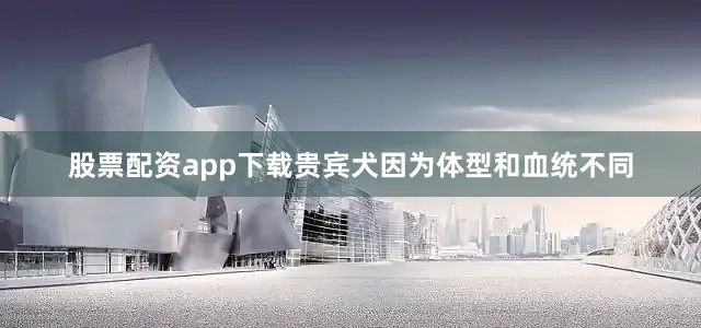 股票配资app下载贵宾犬因为体型和血统不同