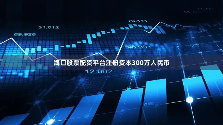 海口股票配资平台注册资本300万人民币