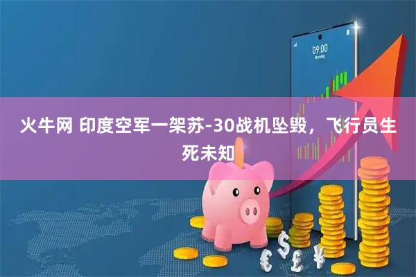 火牛网 印度空军一架苏-30战机坠毁，飞行员生死未知